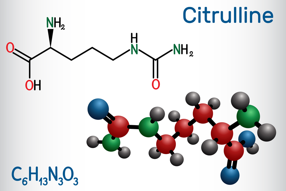 Citrulline Modell