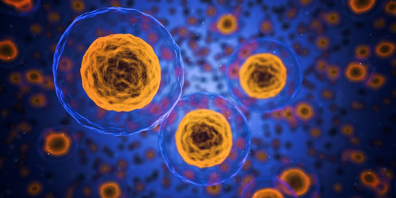 Immunsystem stärken